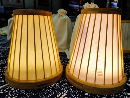 宜賓造智能竹燈發布 科技文創產品新玩法，燈具塑件引領未來